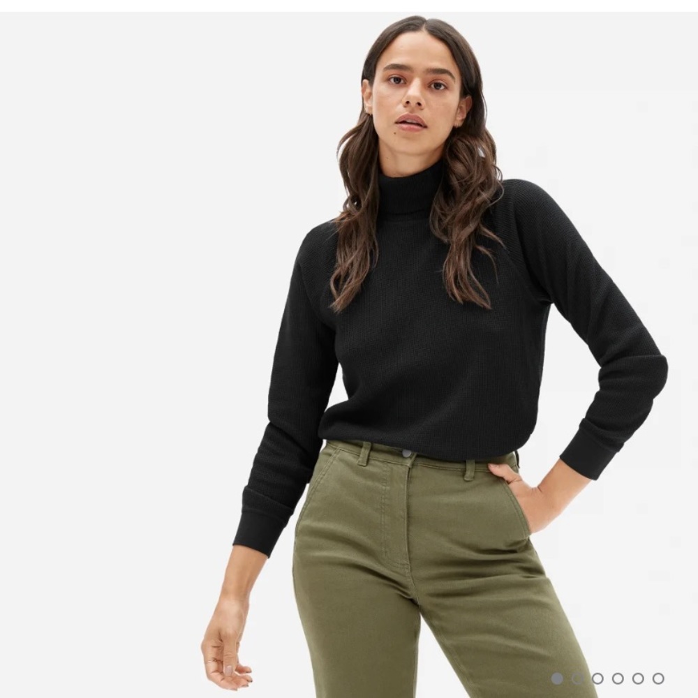 Everlane the Organic Cotton Turtleneck Waffle Tee